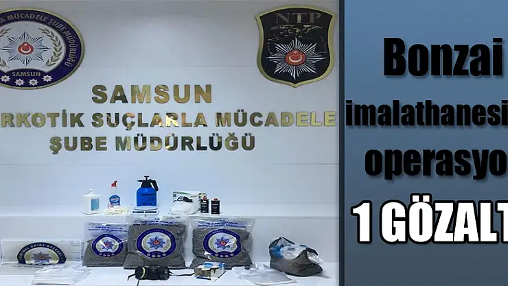 Samsun'da bonzai imalathanesine operasyon: 1 gözaltı