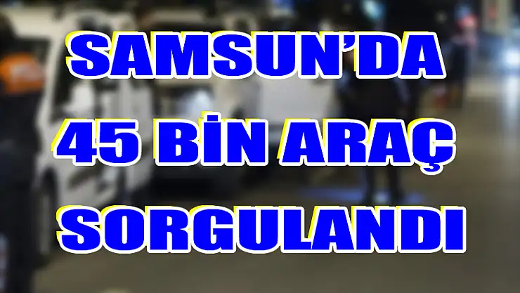 45 bin 158 araç sorgulandı, 1411 sürücüye 705 bin 541 TL ceza kesildi