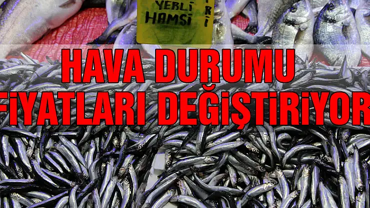 Balık fiyatları havaya endeksli