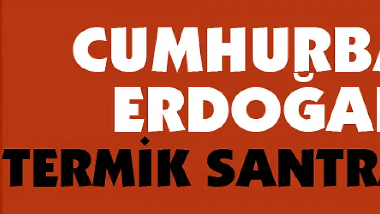 Cumhurbaşkanı Erdoğan'dan termik santral talimatı