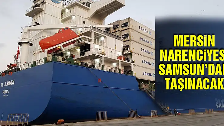 Mersin narenciyesi Samsun'dan taşınacak