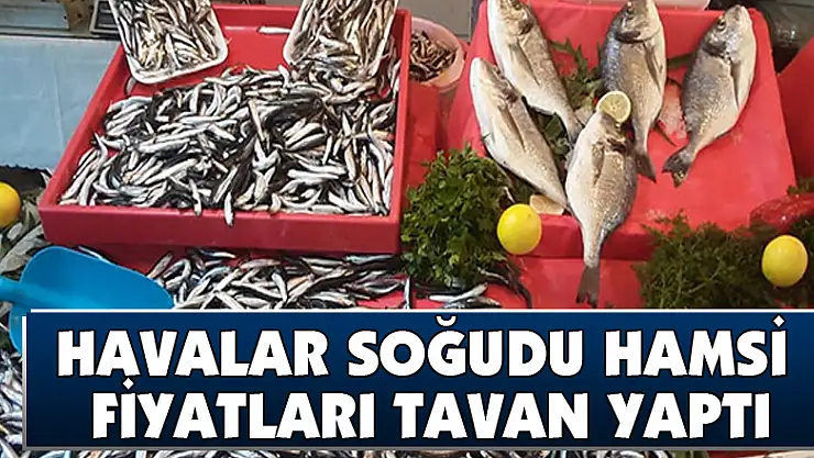 Havalar soğudu hamsi fiyatları tavan yaptı