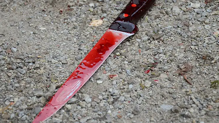 Eve alkollü gelen kocasını bıçakladı