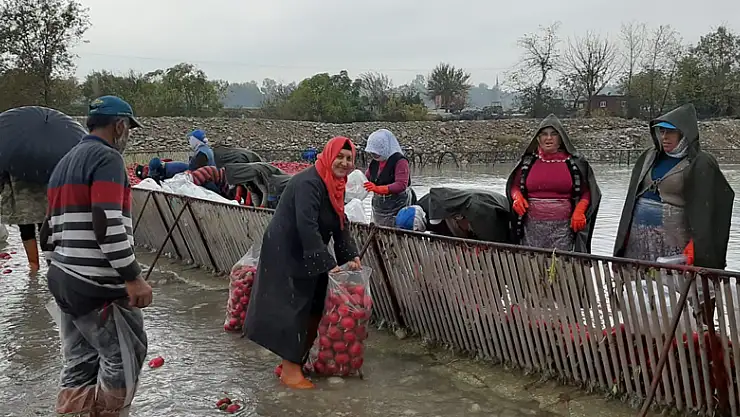 Kadınların soğuk suda ekmek mücadelesi
