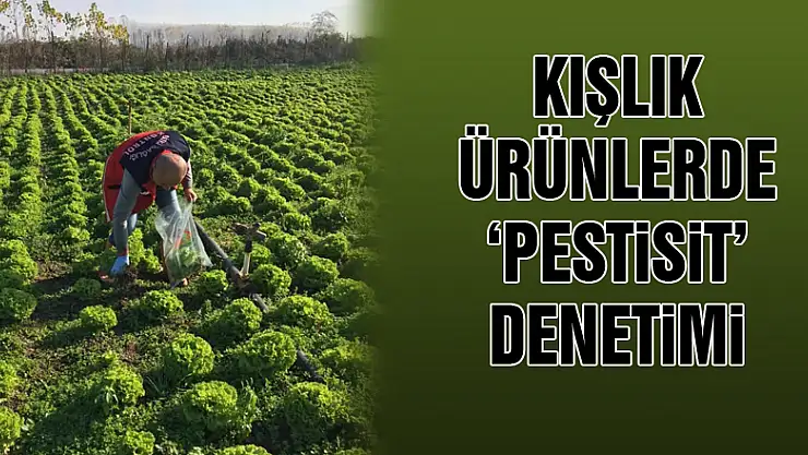 Kışlık ürünlerde 'pestisit' denetimi