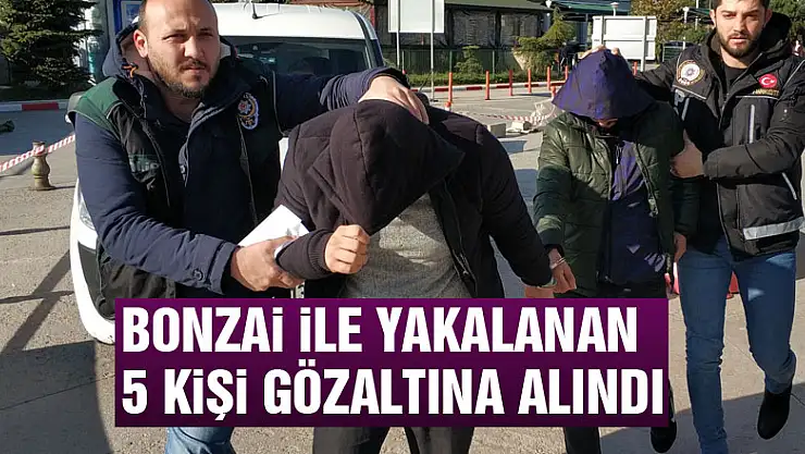 Bonzai ile yakalanan 5 kişi gözaltına alındı