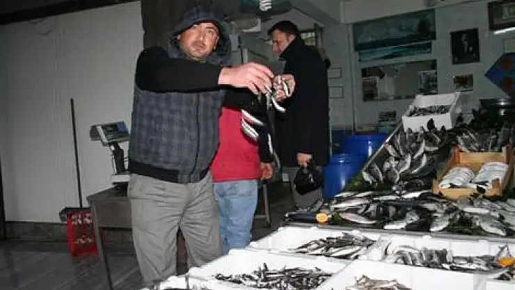 Hamsi 10 Tl 'ye de yok satıyor!..