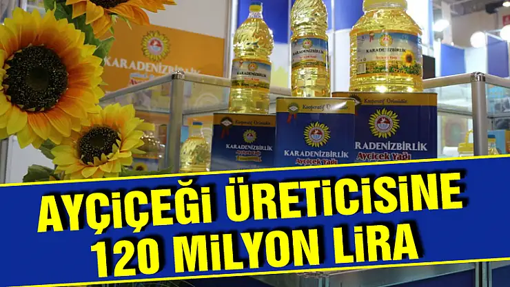 Ayçiçeği üreticisine 120 milyon lira