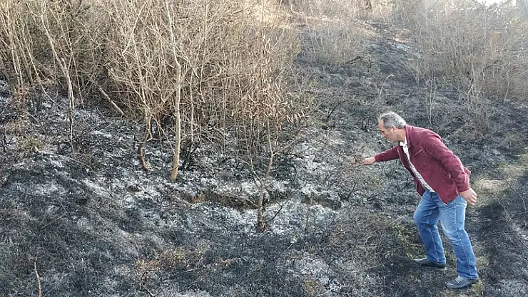 Samsun'da ormanda örtü yangını