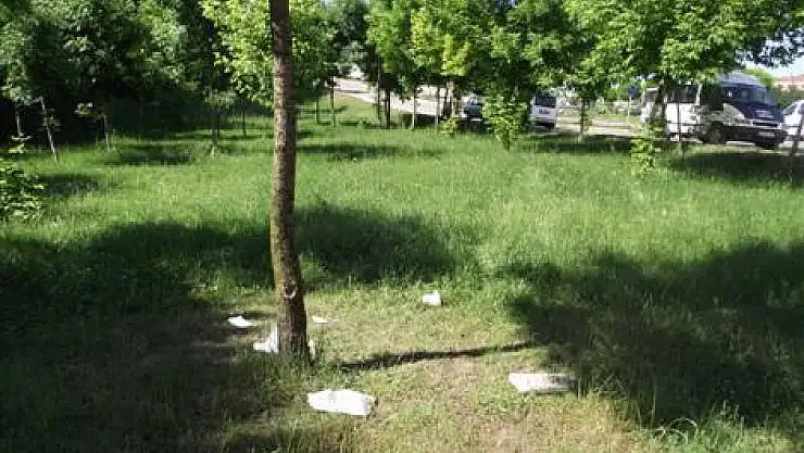 Güzelliği çöple kirletiyorlar