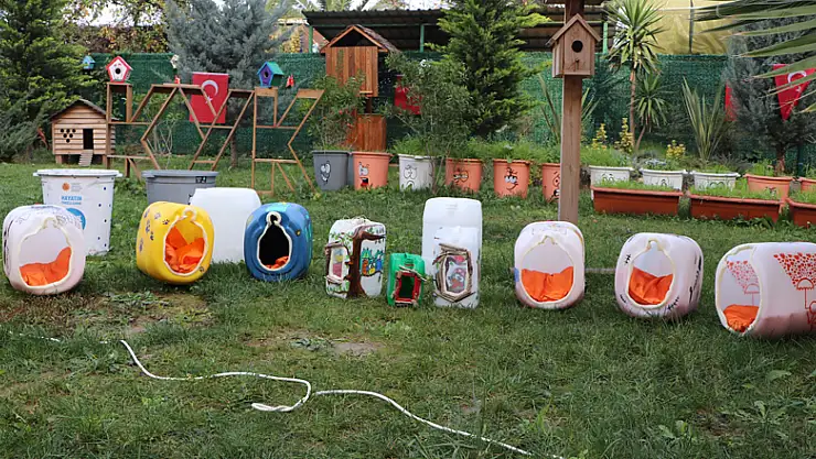 Üniversite öğrencilerinden atık malzemelerden sokak hayvanlarına yuva