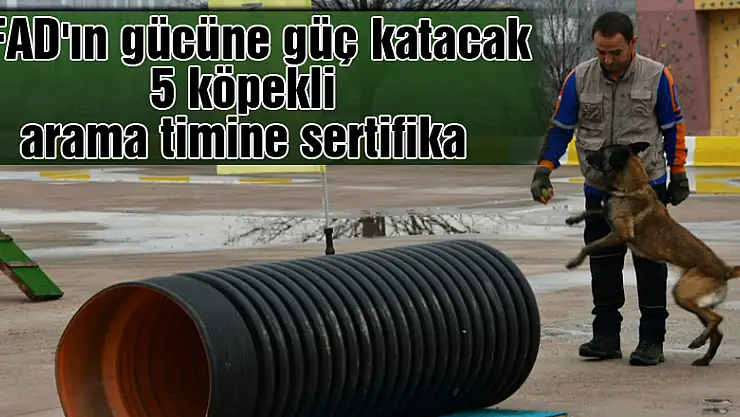 AFAD'ın gücüne güç katacak 5 köpekli arama timine sertifika