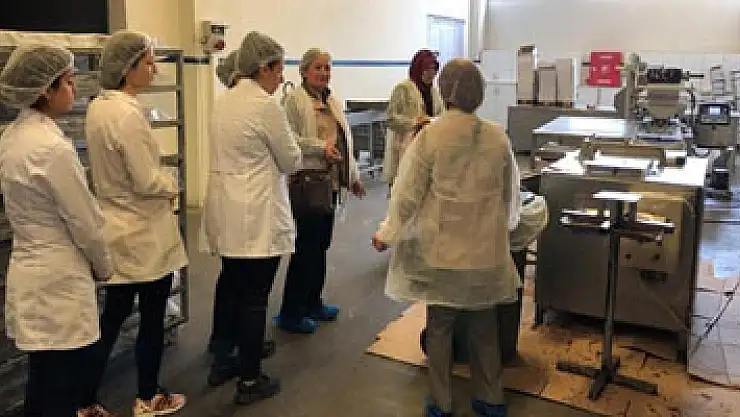 Samsun'da gıda sağlığını tehdit eden işletmelere ceza yağdı 