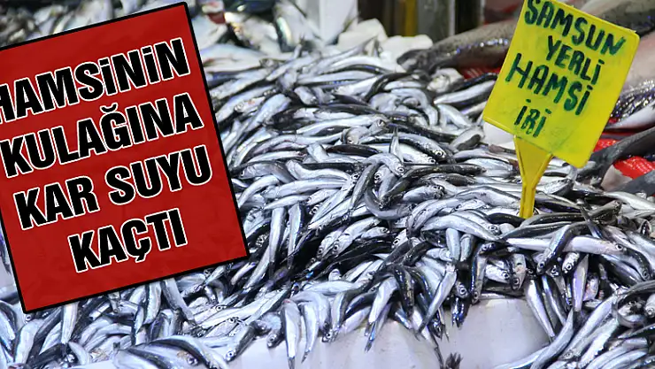 Hamsinin kulağına kar suyu kaçtı