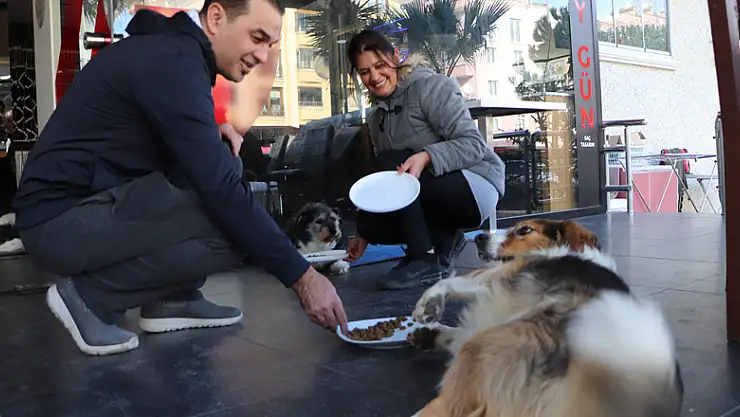 Samsunlu kuaför çiftin sokak hayvanı sevgisi