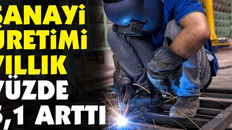 Sanayi üretimi yıllık yüzde 5,1 arttı
