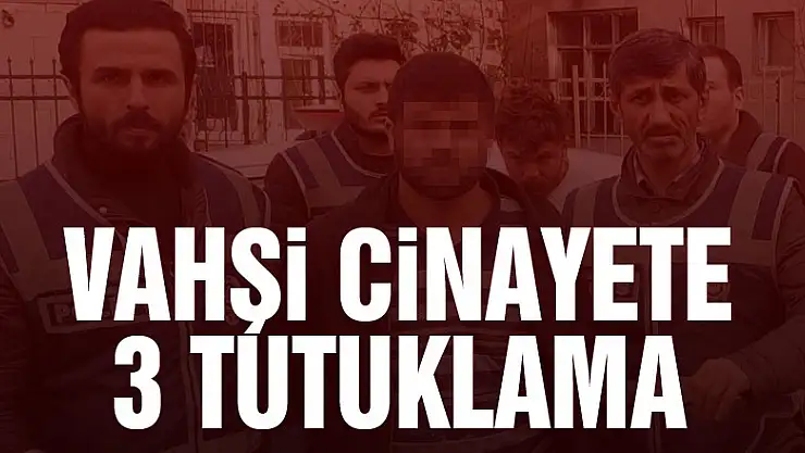 Vahşi cinayete 3 tutuklama