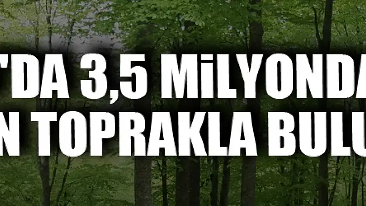 Samsun'da 3,5 milyondan fazla fidan toprakla buluştu