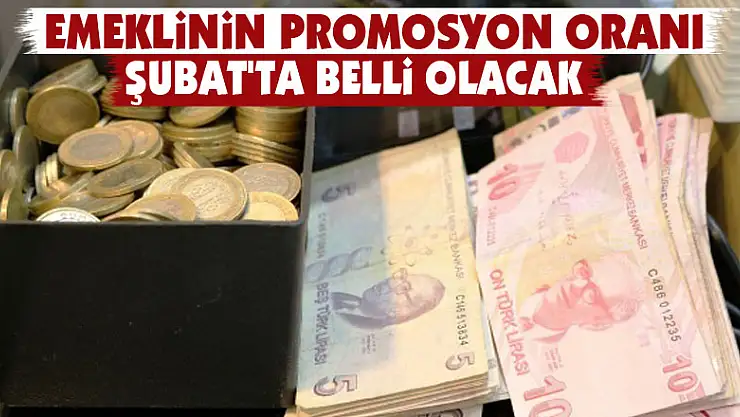 Emeklinin promosyon oranı Şubat'ta belli olacak
