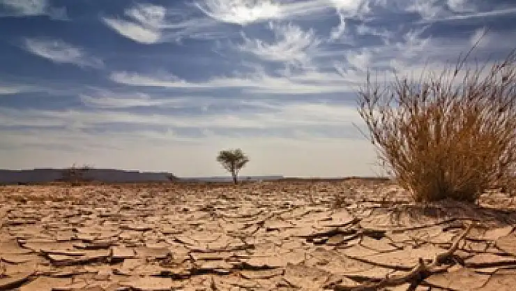 Uzmanlar uyarıyor: 'Küresel ısınma Türkiye'yi de tehdit ediyor'