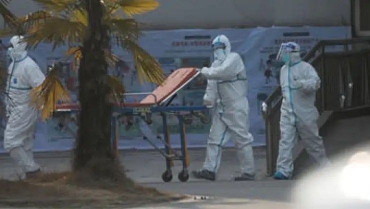 Corona virüsü yılanlardan insanlara geçti