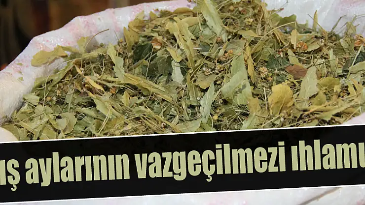 Kış aylarının vazgeçilmezi ıhlamur