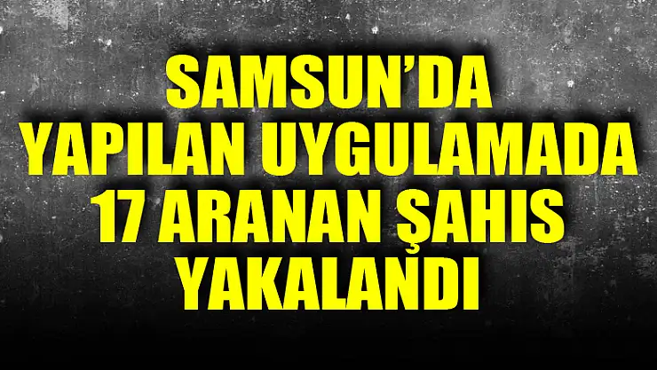 Samsun'da yapılan uygulamada 17 aranan şahıs yakalandı