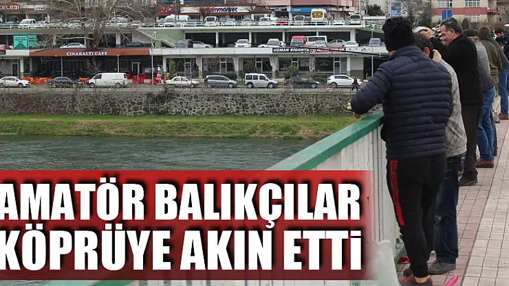 Amatör Balıkçılar köprüye akın etti