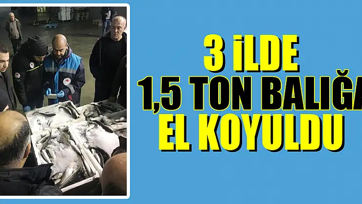 3 ilde 1,5 ton balığa el koyuldu