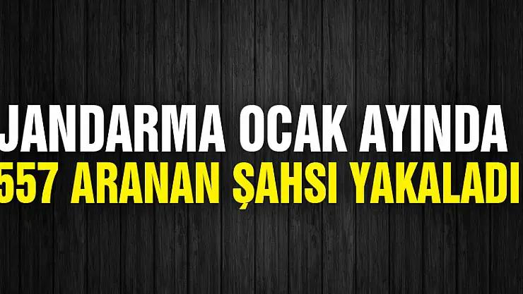Jandarma ocak ayında 557 aranan şahsı yakaladı