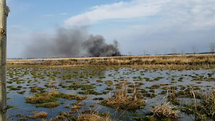 Simenit Gölü'nde yangın: Çok sayıda hayvan telef oldu
