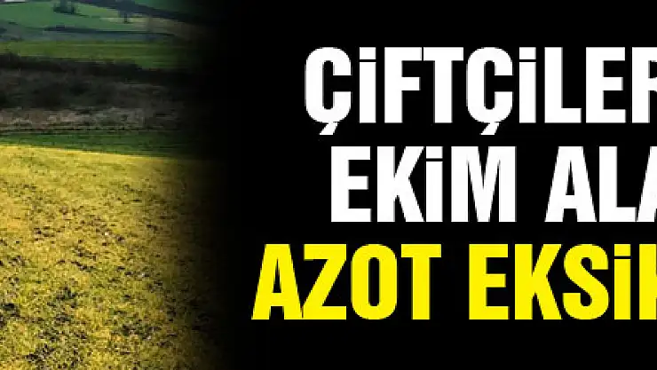 Çiftçilere hububat ekim alanlarında azot eksikliği uyarısı