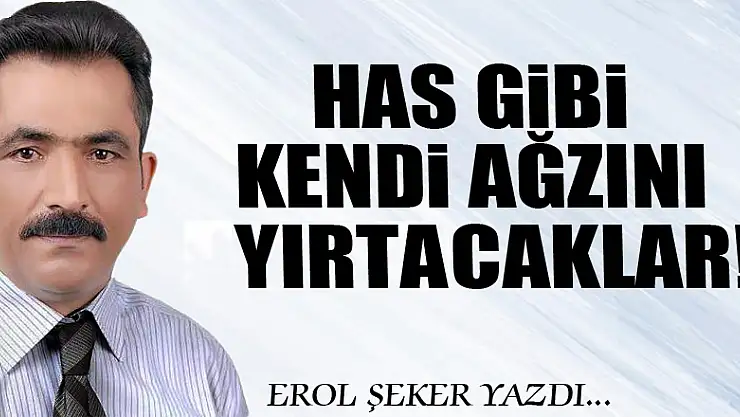 HAS GİBİ KENDİ AĞZINI YIRTACAKLAR!