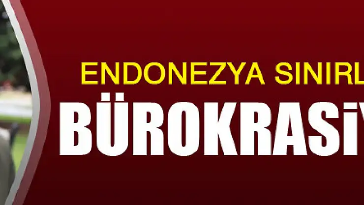 Endonezya sınırlarını aşan gelin bürokrasiyi aşamadı 