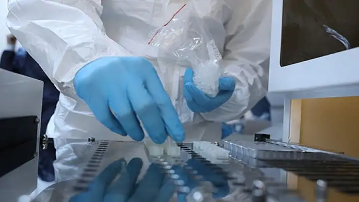 Çin açıkladı: 'Aşıyı bulduk'