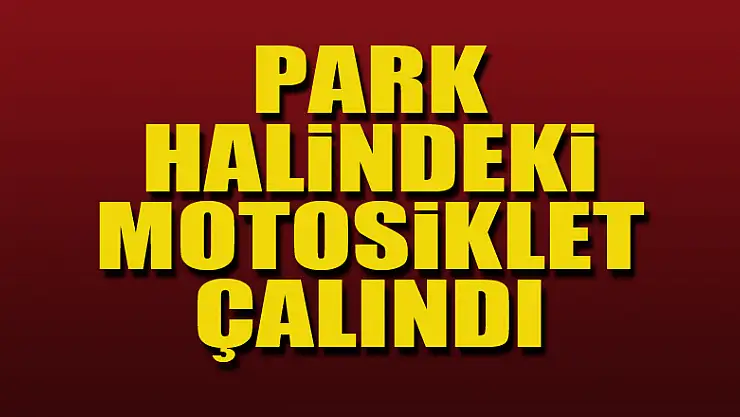 Park halindeki motosiklet çalındı