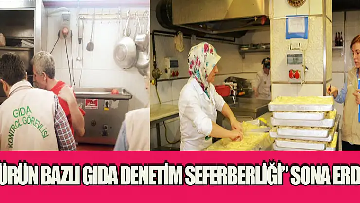 'Ürün bazlı gıda denetim seferberliği' sona erdi