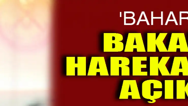 Bakan Akar harekatın adını açıkladı! 'Bahar Kalkanı'