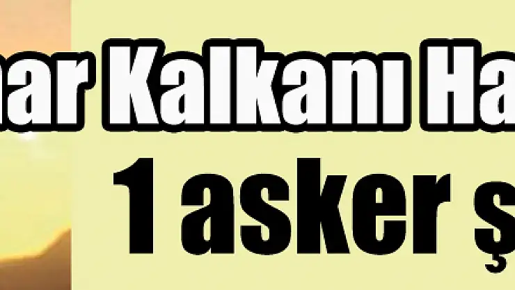 Bahar Kalkanı Harekatı'nda 1 asker şehit oldu