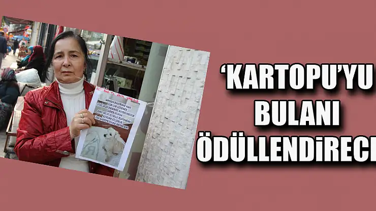 'Kartopu'yu bulanı ödüllendirecek