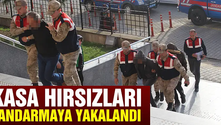 Kasa hırsızları jandarmaya yakalandı