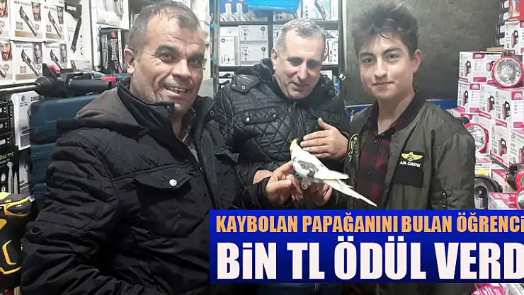 Kaybolan papağanını bulan öğrenciye bin TL ödül verdi