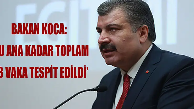 Bakan Koca: 'Avrupa ülkelerinden gelmiş yedi, Amerika'dan gelmiş üç vakamız var'