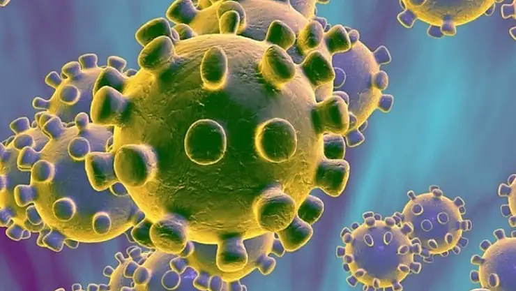 Bakanlık duyurdu: Korona virüs test sonuçları e-Nabız uygulamasında