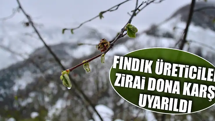 Fındık üreticileri zirai dona karşı uyarıldı