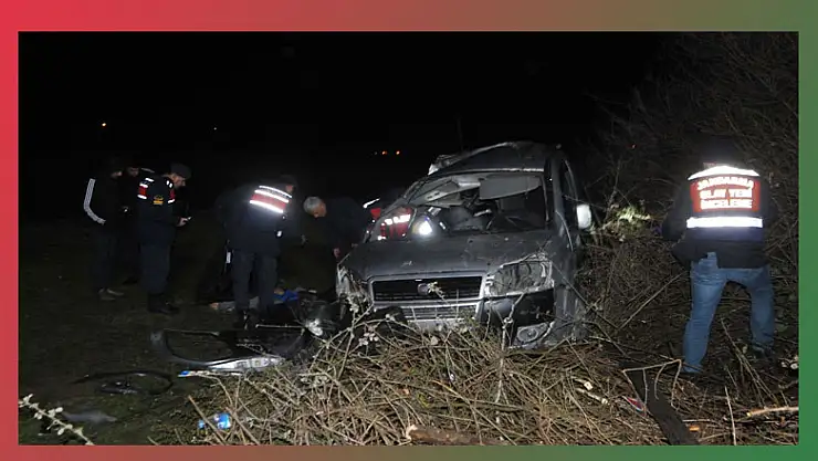 Ticari araç ağaca çarptı: 1 ölü, 2 yaralı  