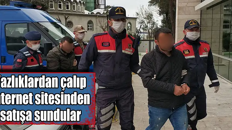 Yazlıklardan çalıp internet sitesinden satışa sundular