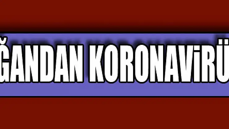 Cumhurbaşkanı Erdoğan'dan koronavirüs tedbirlerine ilişkin açıklama!