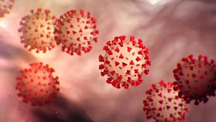 Covid-19 travmasına kılavuz!