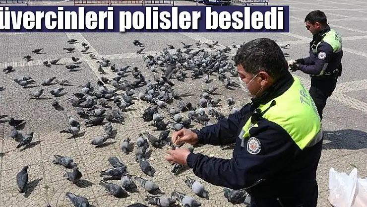 Samsun'da aç kalan güvercinleri polisler besledi